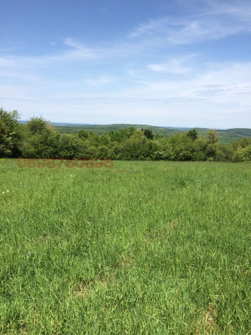 Продава ЗЕМЕДЕЛСКА ЗЕМЯ, гр. Трявна, област Габрово, снимка 2 - Земеделска земя - 52786252