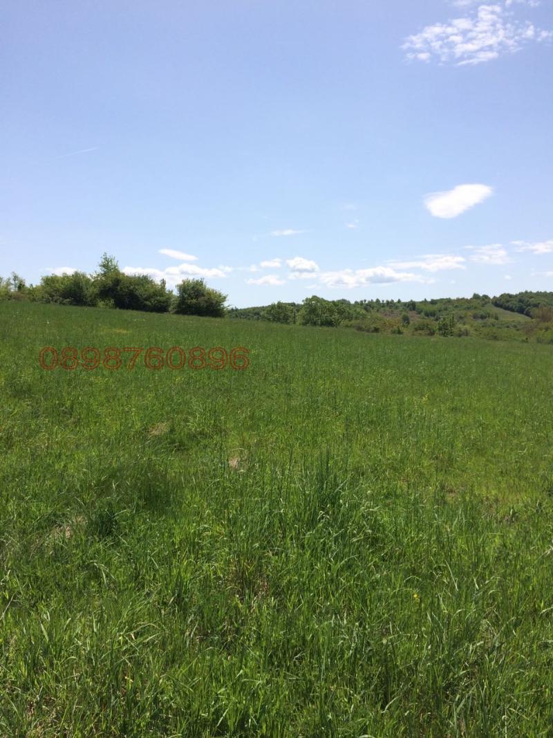 Продава ЗЕМЕДЕЛСКА ЗЕМЯ, гр. Трявна, област Габрово, снимка 4 - Земеделска земя - 52786252