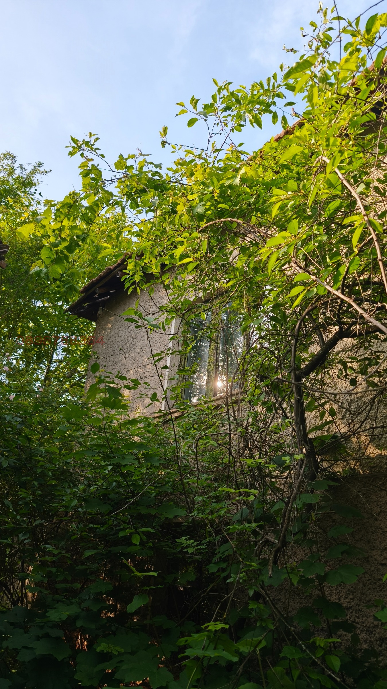 Продава КЪЩА, с. Горни Романци, област Перник, снимка 4 - Къщи - 53684074