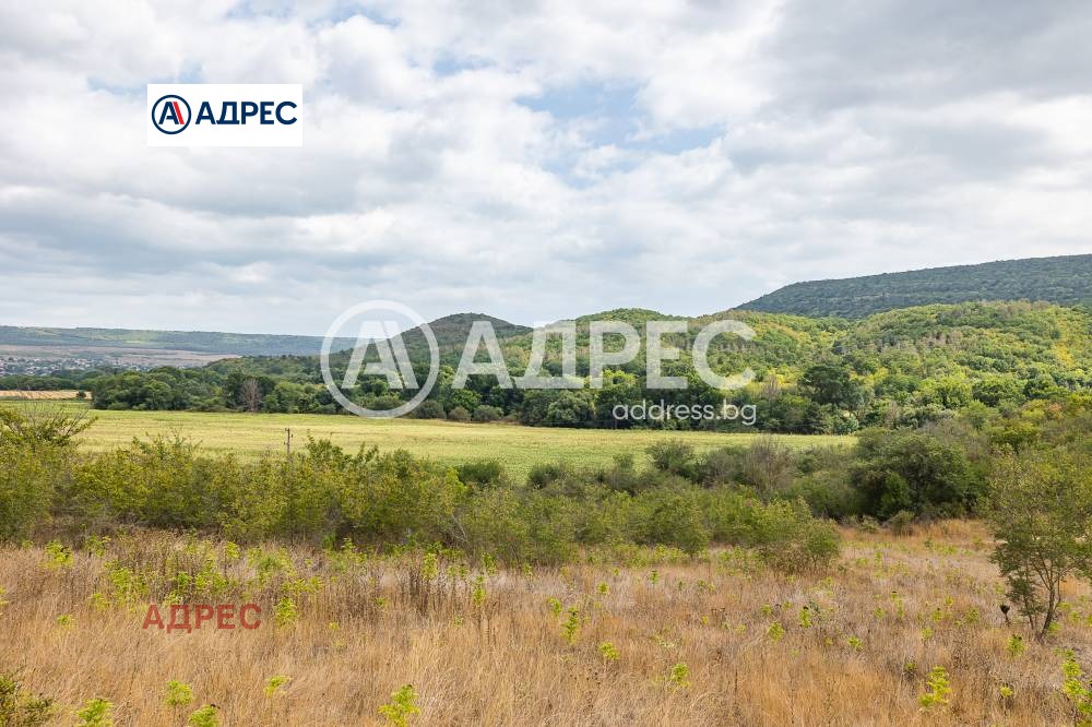 Продава КЪЩА, с. Църква, област Добрич, снимка 6 - Къщи - 54253558