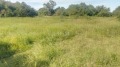 Продава ПАРЦЕЛ, с. Преселка, област Шумен, снимка 2