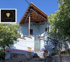 ������ ������� ����