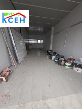 ����� ������� �����,���� ���������, ���������� ����