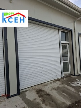 ����� ������� �����,���� ���������, ���������� ����