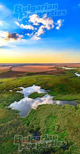 ������� ������ | Imot.bg � ����� ������ 12