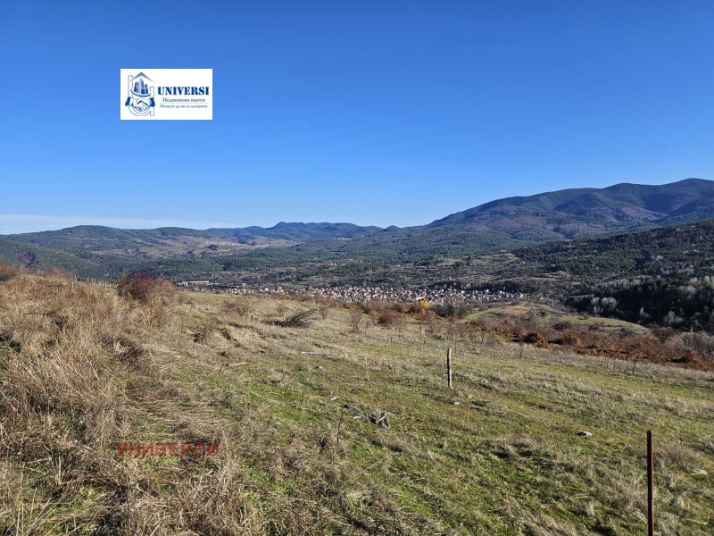 Продава КЪЩА, м-т Цигов чарк, област Пазарджик, снимка 8 - Къщи - 52490482