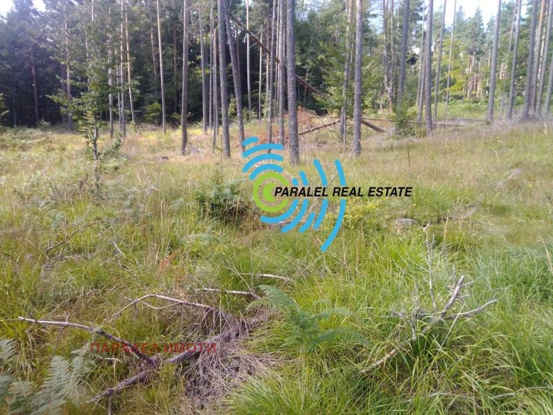 Продава ПАРЦЕЛ, хижа Здравец, област Пловдив, снимка 2 - Парцели - 52722658