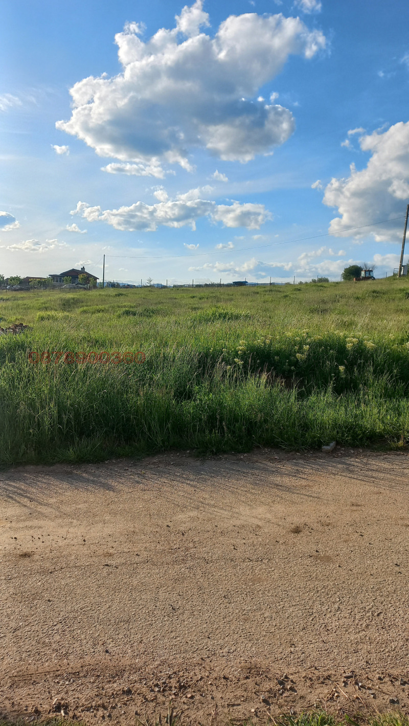 Продава ПАРЦЕЛ, с. Белопопци, област София област, снимка 4 - Парцели - 52887292