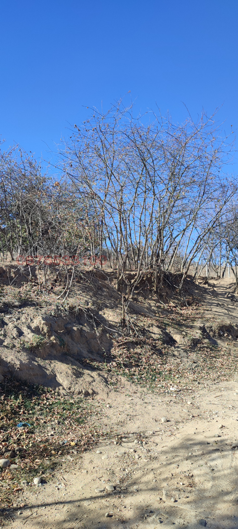 Продава ПАРЦЕЛ, гр. Момин проход, област София област