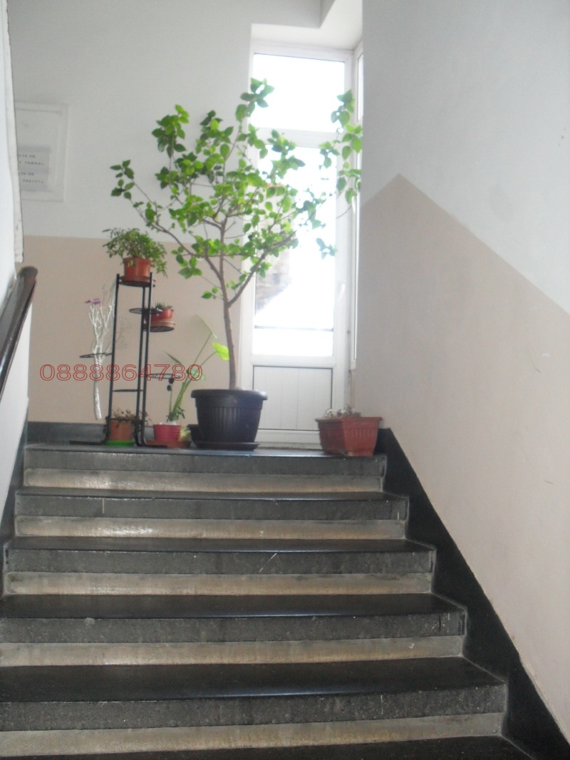 En venta  3 dormitorios Sofia , Tsentar , 105 metros cuadrados | 98774517 - imagen [2]