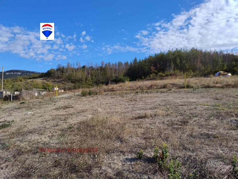 Продава  Парцел област Шумен , с. Хан Крум , 668 кв.м | 49690016 - изображение [6]