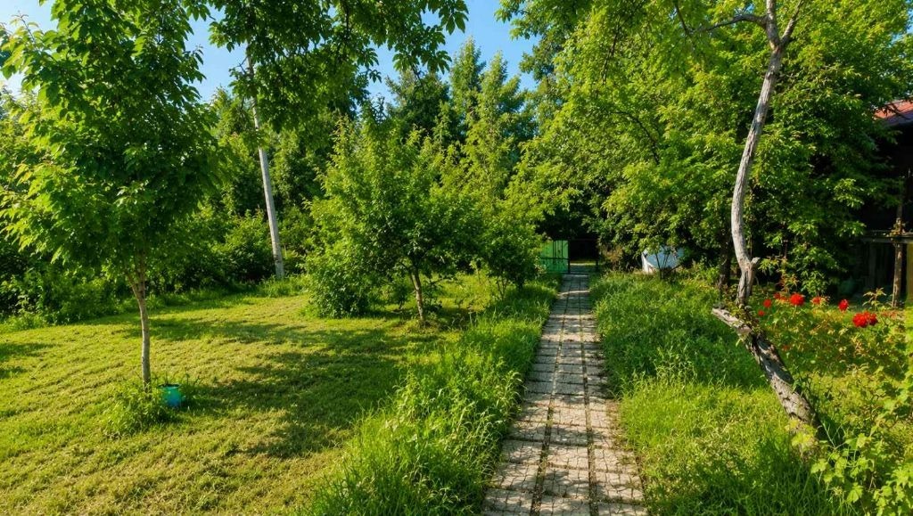 ������� ���� | Imot.bg � ����������� 8