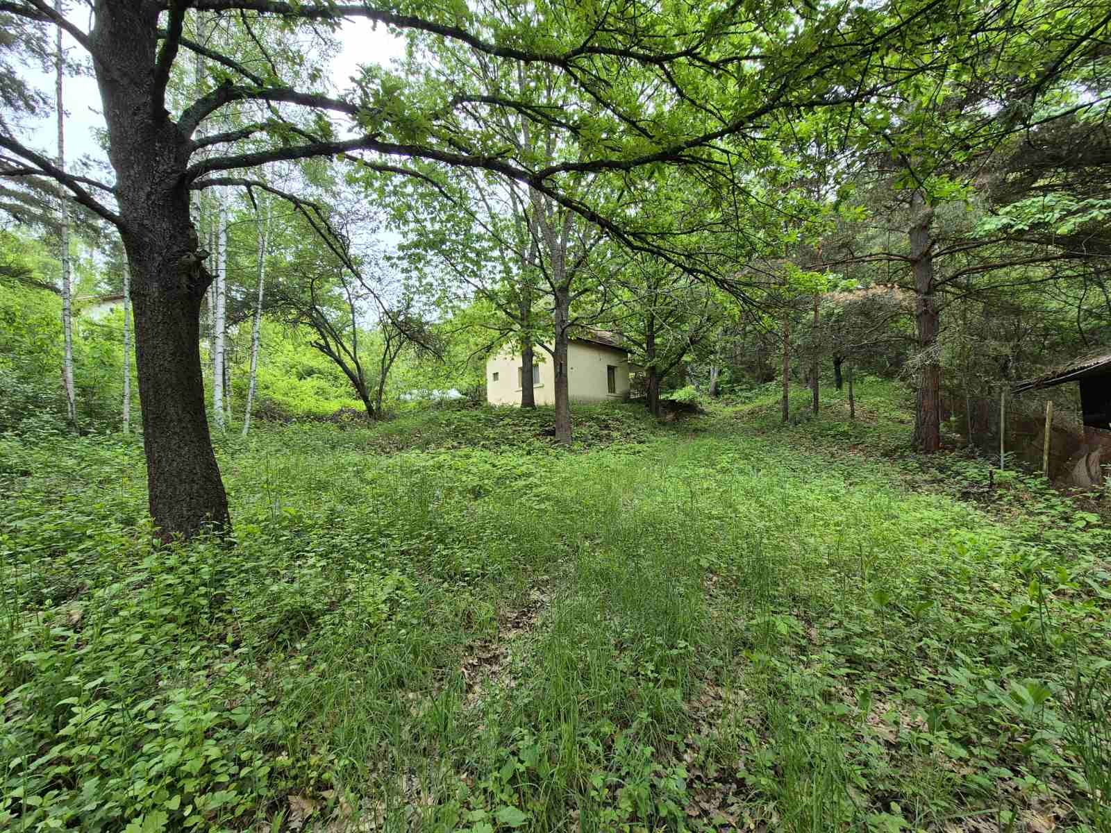 ������� ������ | Imot.bg � ����������� 1