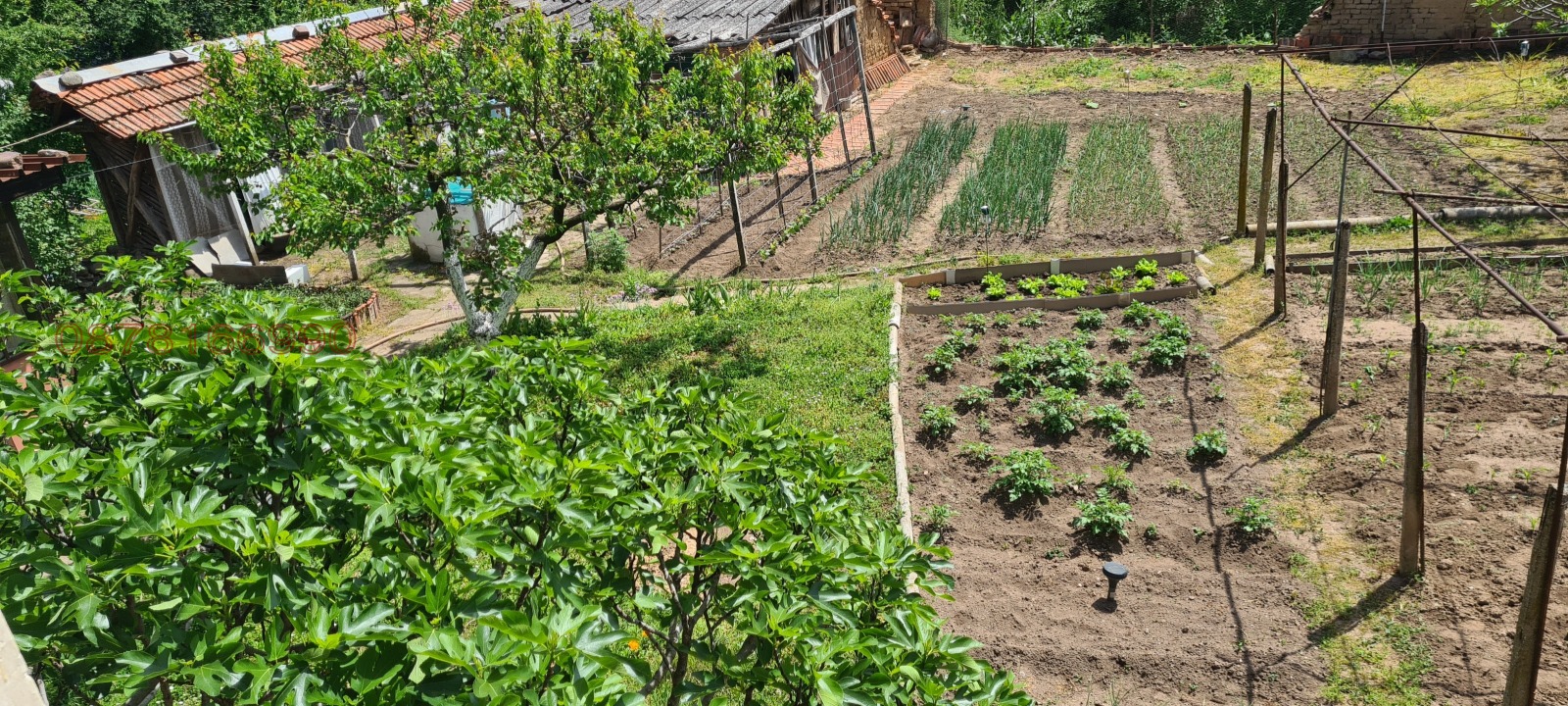 Продава КЪЩА, с. Ботуня, област Враца, снимка 14 - Къщи - 54848695