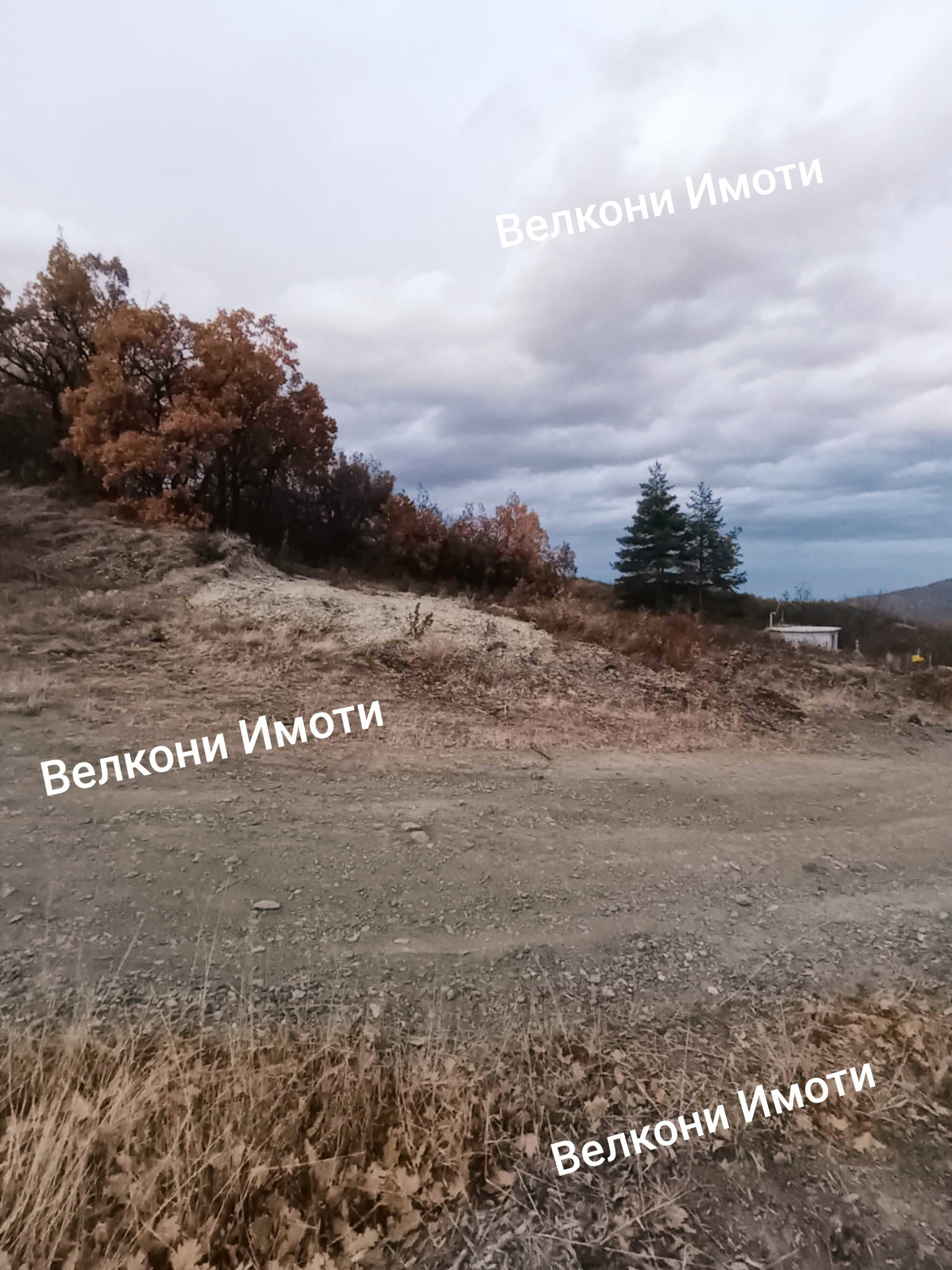 Продава ПАРЦЕЛ | Imot.bg — изображение 1