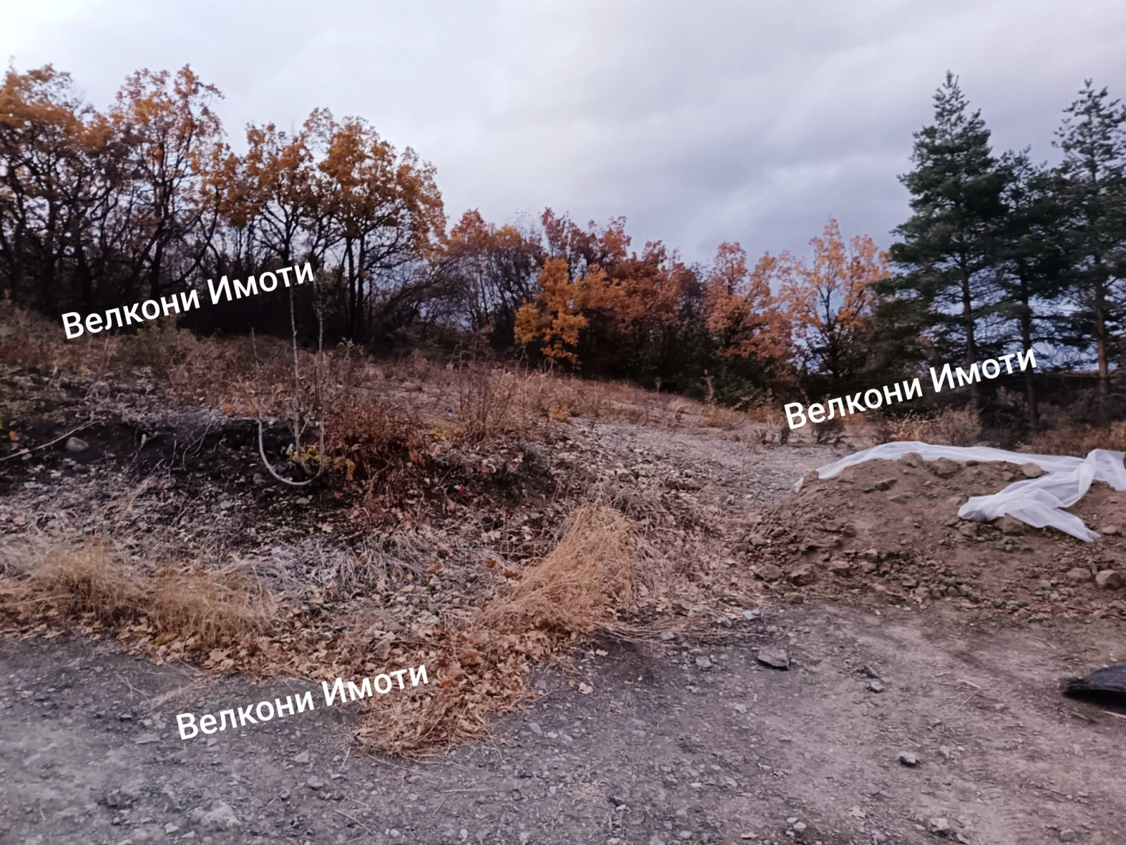 Продава ПАРЦЕЛ | Imot.bg — изображение 3