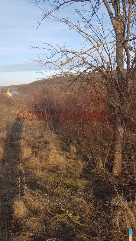 Продава ПАРЦЕЛ, с. Николово, област Русе, снимка 2 - Парцели - 52785170