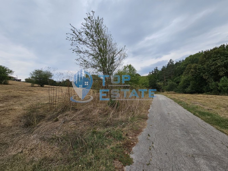 À vendre  Parcelle région Veliko Tarnovo , Elena , 14900 m² | 70895476 - image [4]