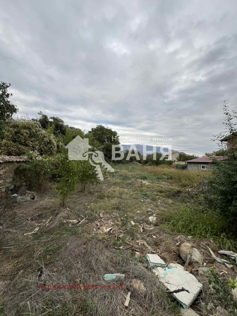 Til salgs  Plott region Plovdiv , Dabene , 700 kvm | 60868594 - bilde [3]