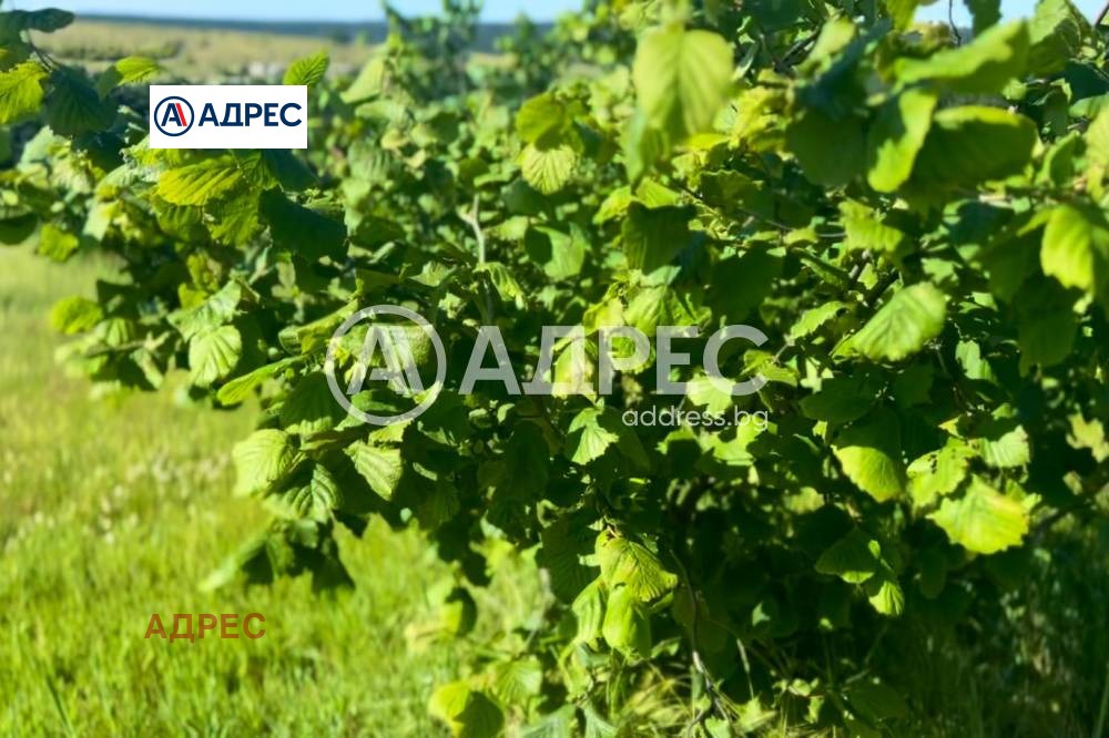 Продава ПАРЦЕЛ, с. Бенковски, област Варна, снимка 2 - Парцели - 50764668