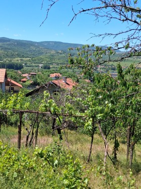 ������� ���� | Imot.bg � ����� ������ 5