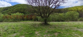 ������� ������ | Imot.bg � ����� ������ 11