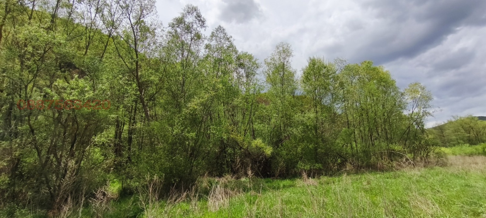 Продава ПАРЦЕЛ, гр. Мъглиж, област Стара Загора, снимка 4 - Парцели - 54597683