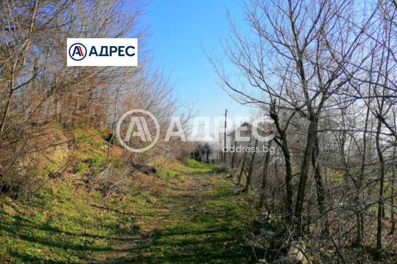 For Sale  Plot region Blagoevgrad , Sandanski , 2820 sq.m | 10483712 - image [4]