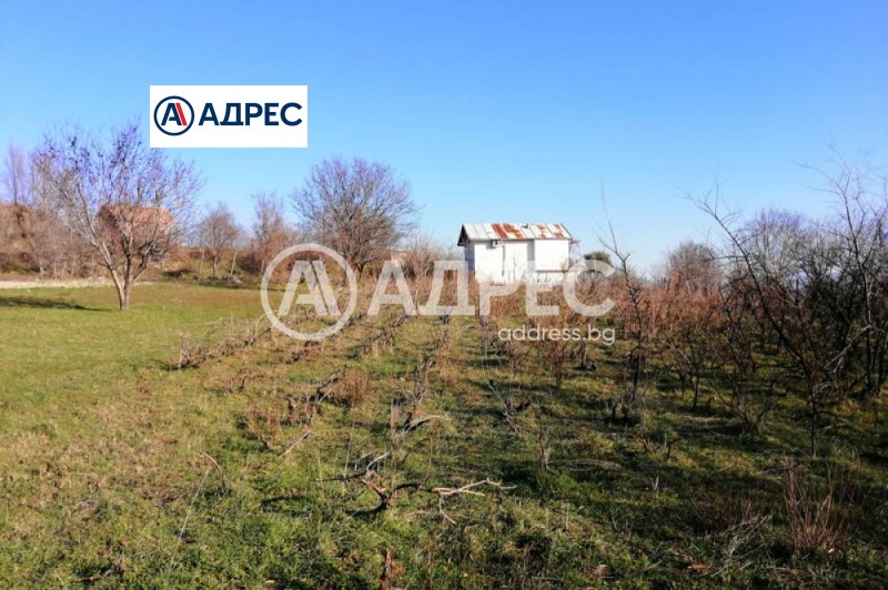 For Sale  Plot region Blagoevgrad , Sandanski , 2820 sq.m | 10483712 - image [3]