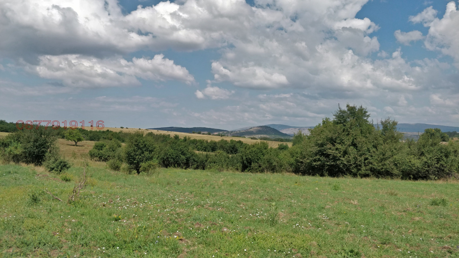 ������� ������ | Imot.bg � ����������� 8