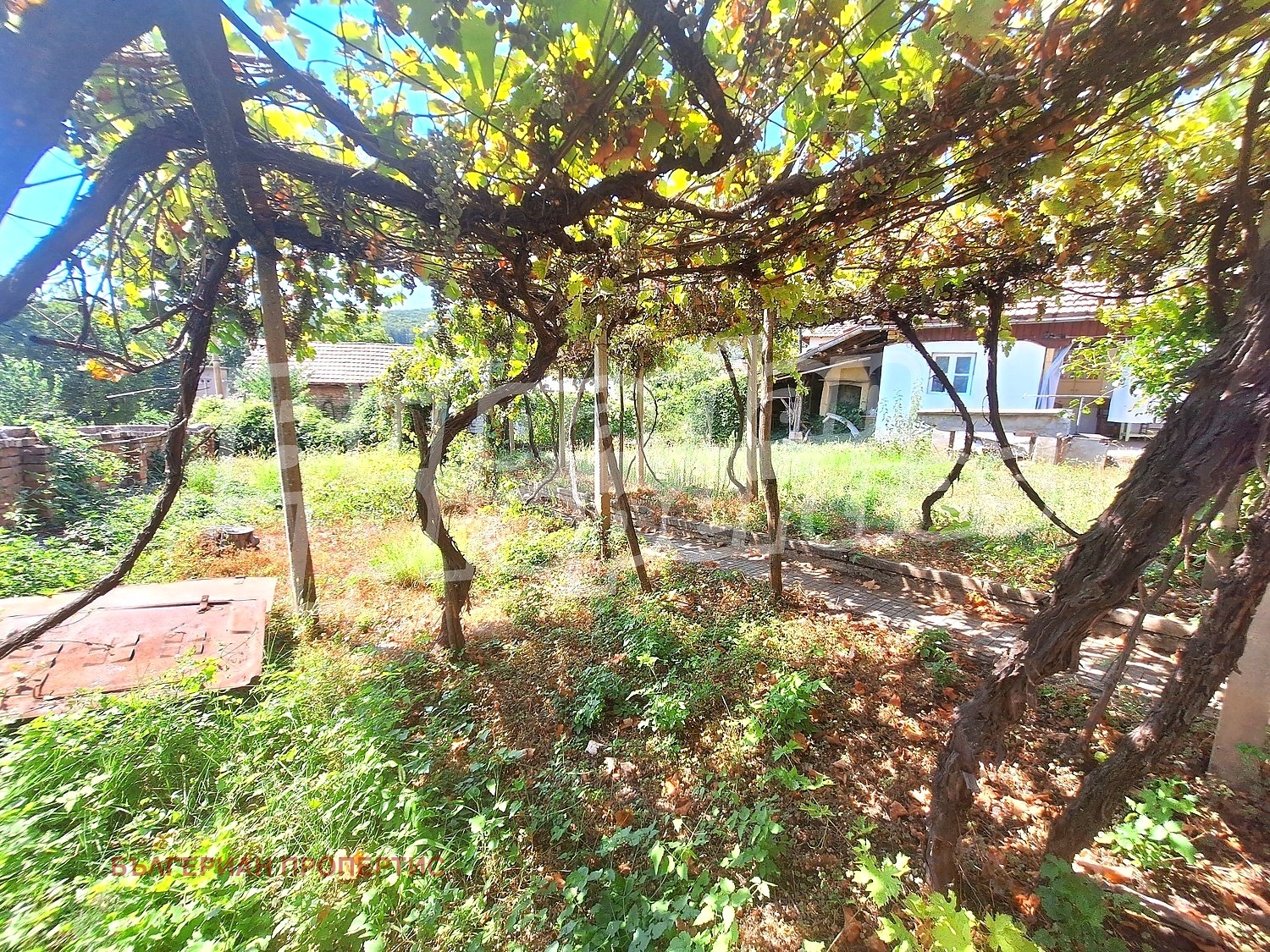 Продава КЪЩА, с. Димча, област Велико Търново, снимка 13 - Къщи - 55899393