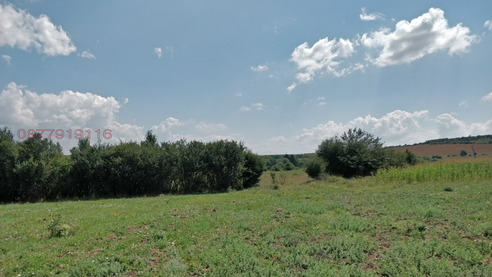 Продава ПАРЦЕЛ, гр. Сливница, област София област, снимка 4 - Парцели - 54810541