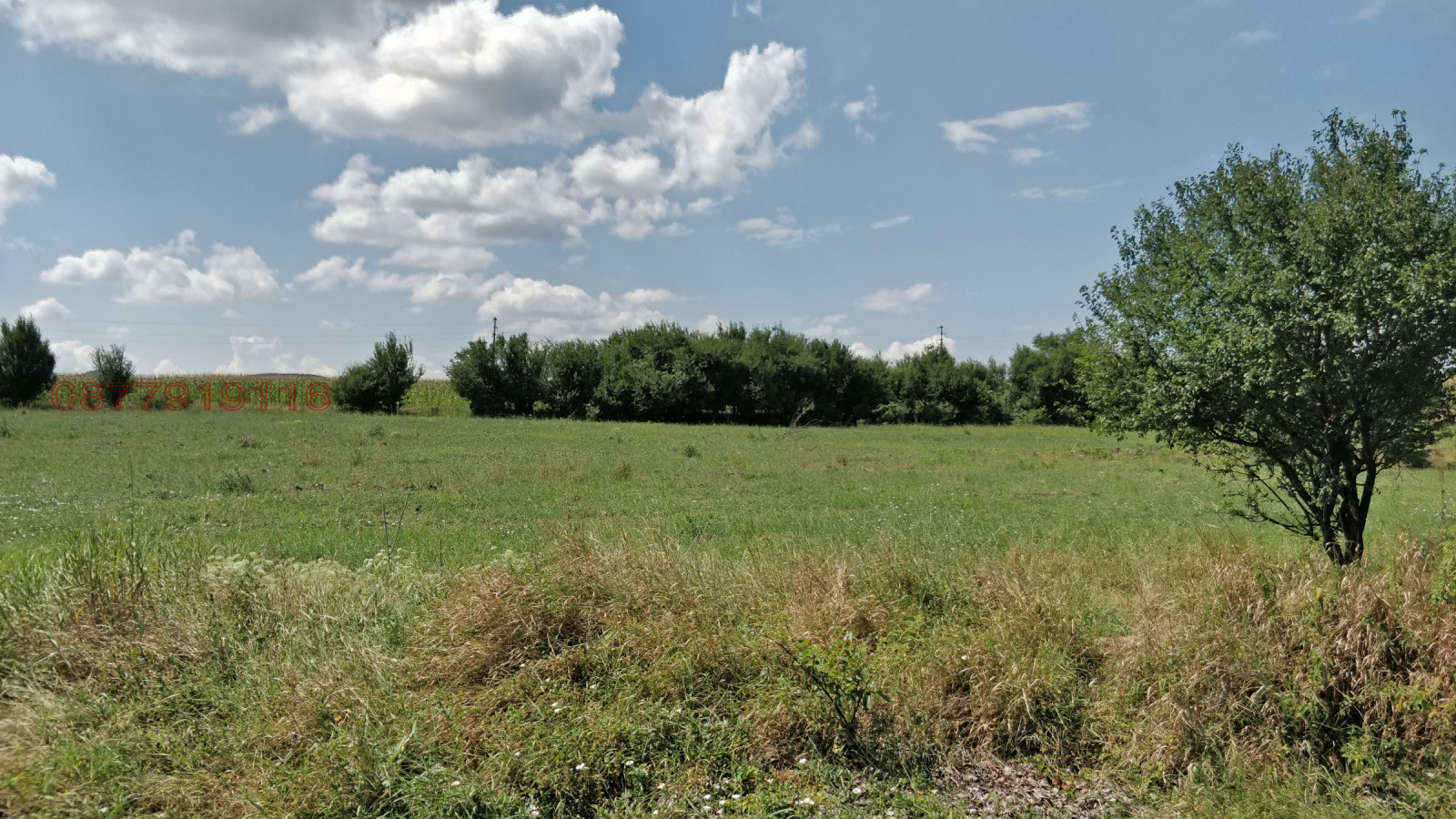 Продава ПАРЦЕЛ, гр. Сливница, област София област, снимка 3 - Парцели - 54810541