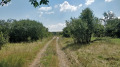 Продава ПАРЦЕЛ, област София, гр. Сливница • 185000 € • 99860246 9