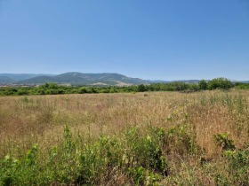 Grund Markovo, region Plovdiv