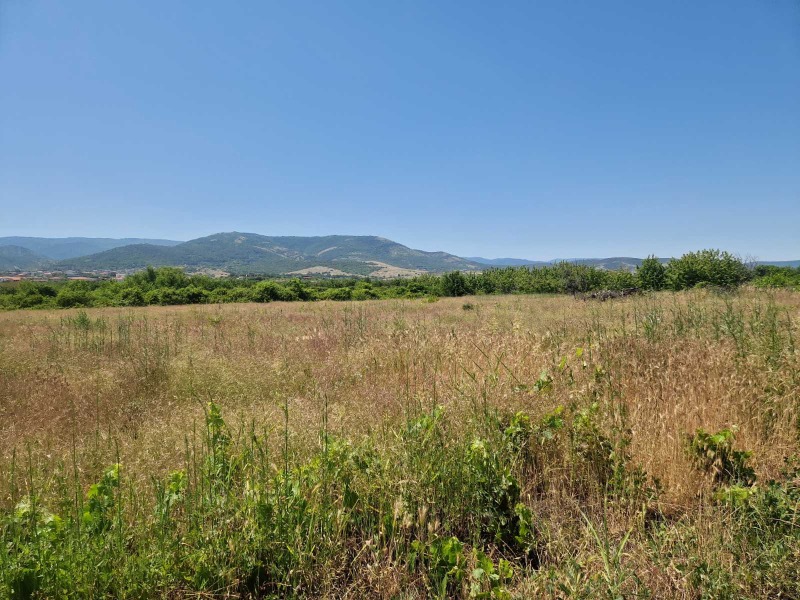 Til salg  Grund region Plovdiv , Markovo , 3000 kvm | 24031700