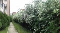 Продава 1-СТАЕН, к.к. Слънчев бряг, област Бургас, снимка 14