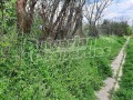 Продава ПАРЦЕЛ, с. Павел, област Велико Търново, снимка 6
