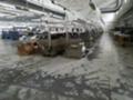 Продава БИЗНЕС ИМОТ, гр. Плевен, Индустриална зона - Изток, снимка 3
