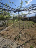 Продава КЪЩА, област Пловдив, с. Милево • 85000 € / 166245.55 лв. • 28857879 7