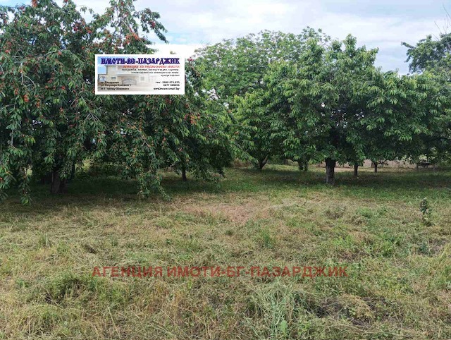 ������� ������ | Imot.bg � ����������� 1