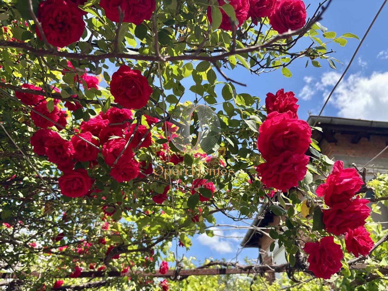 ������� ���� | Imot.bg � ����������� 3