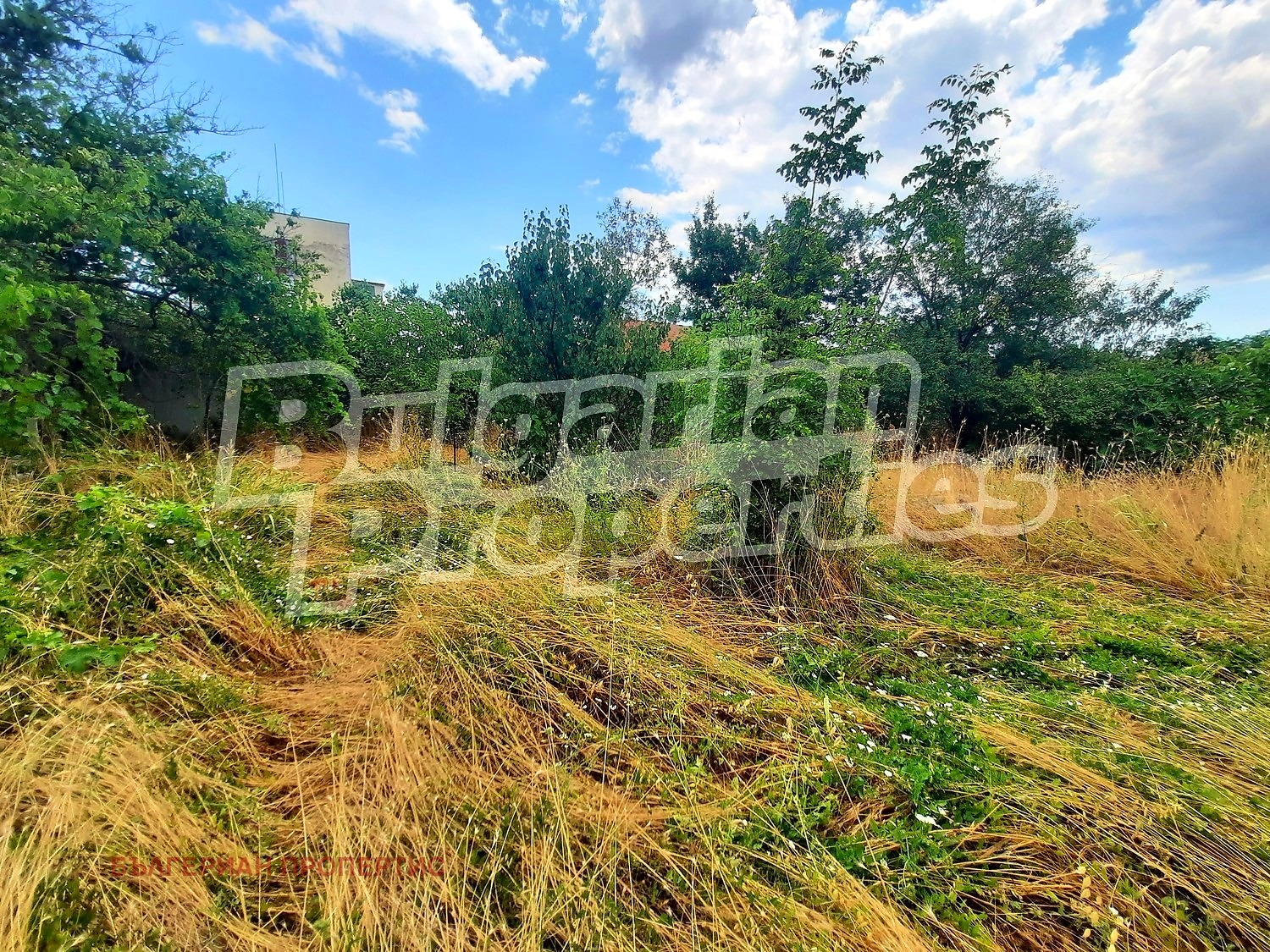 ������� ������ | Imot.bg � ����������� 17