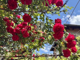 ������� ���� | Imot.bg � ����� ������ 3