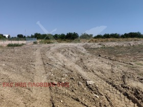 ����� ������� ������,���� �������, ������������ ���� - �����