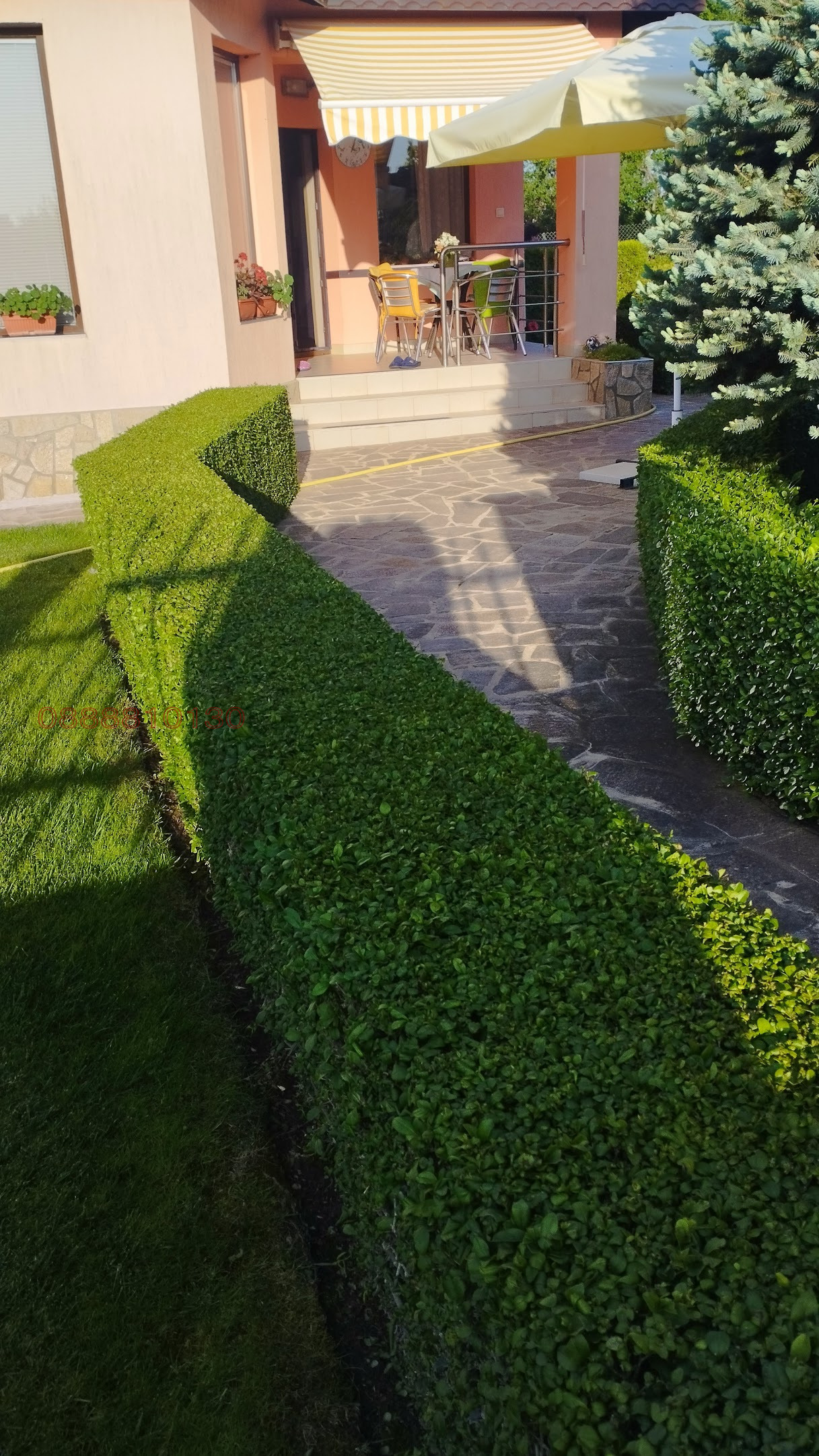 Продава КЪЩА, с. Николаевка, област Варна, снимка 7 - Къщи - 55052640