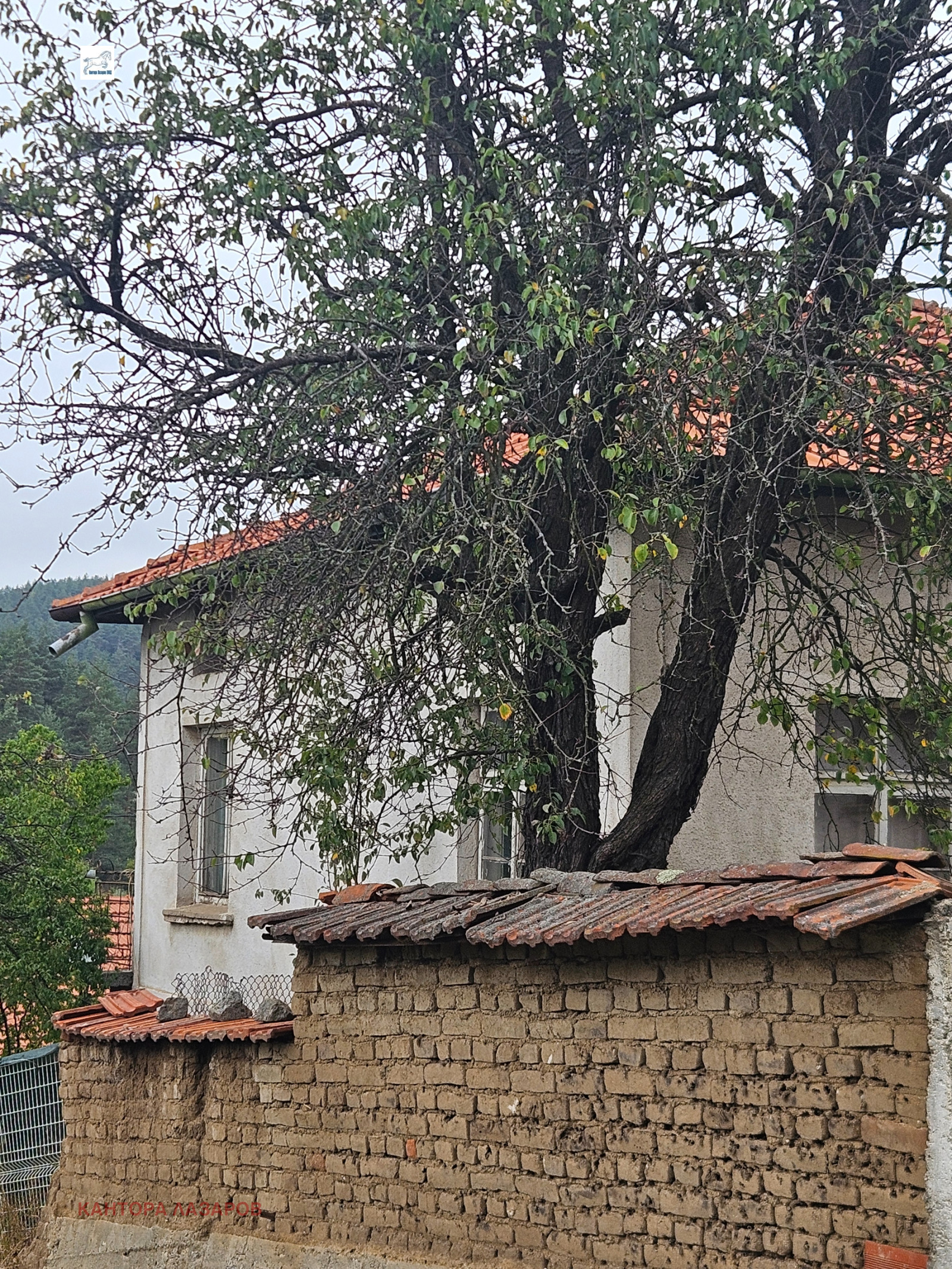 Продава КЪЩА, с. Широки дол, област София област, снимка 2 - Къщи - 51905489
