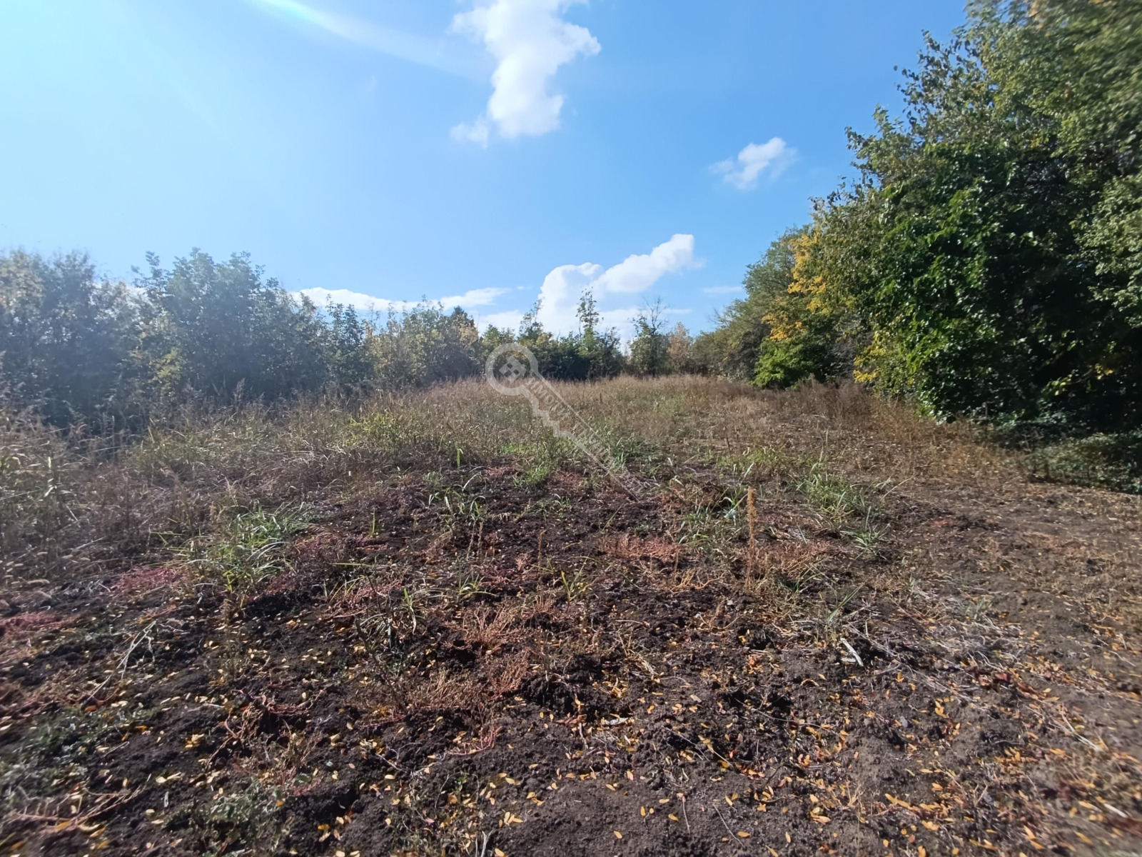 ������� ������ | Imot.bg � ����������� 2
