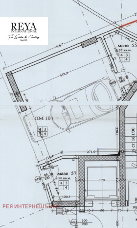 ����� ������� ����������,���� �����, ���������� ����