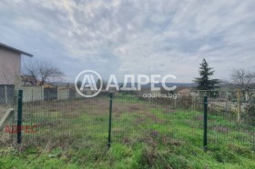 ������ ������� ������